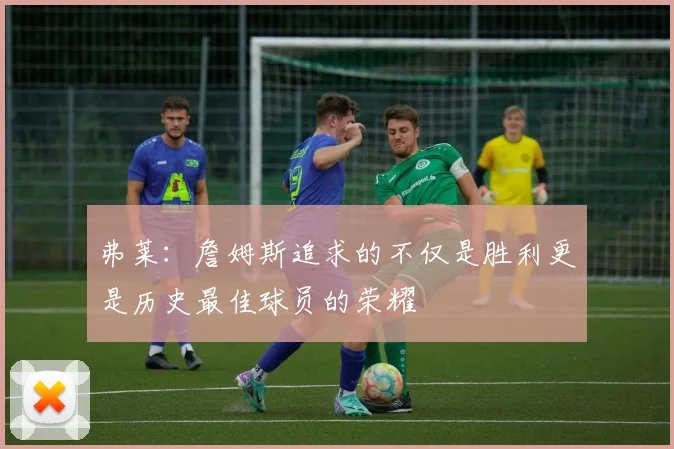 弗莱：詹姆斯追求的不仅是胜利更是历史最佳球员的荣耀