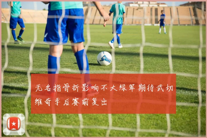 无名指骨折影响不大绿军期待武切维奇季后赛前复出